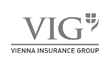 Vienna Insurance Group